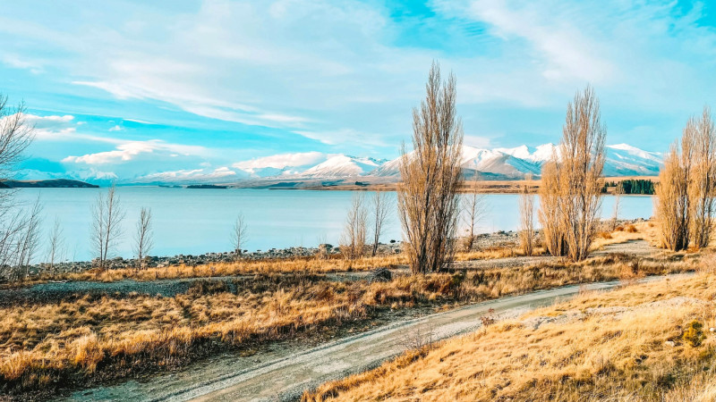 chris barnard laketekapo unsplash