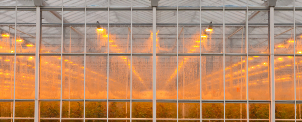 shutterstock 102586739