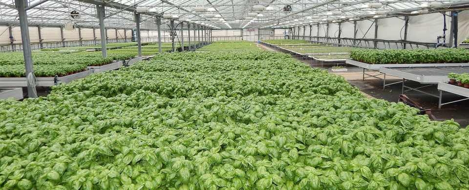 shutterstock 1999198922