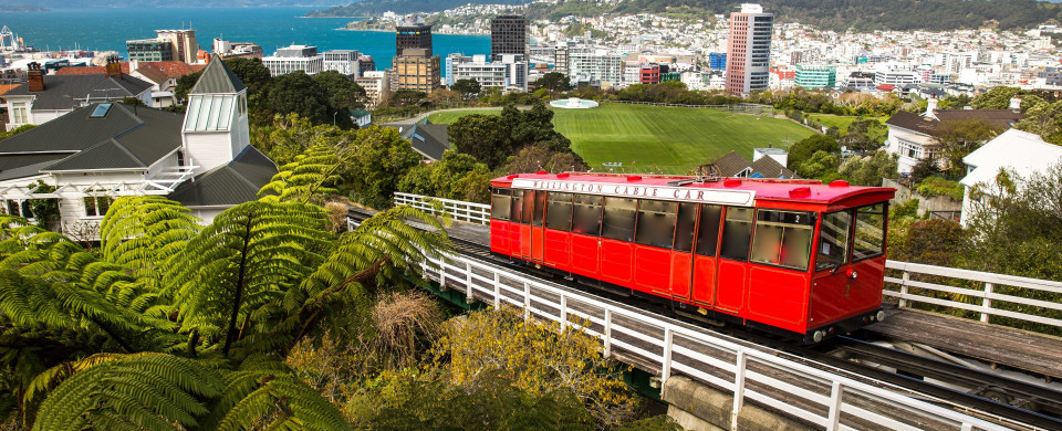 shutterstock 254848015 cr