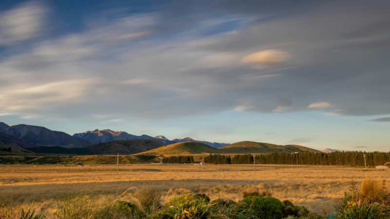 adele erolsky t4u95C26YQk unsplash 1