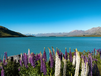 look up look down photography JUx3hPMNXLg unsplash