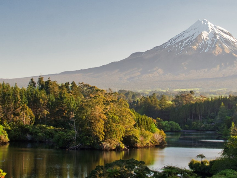 shutterstock 741355171 crop