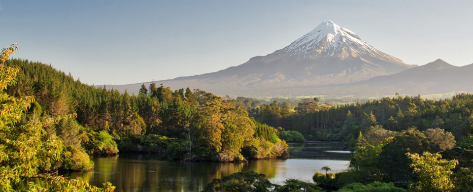 shutterstock 741355171 crop