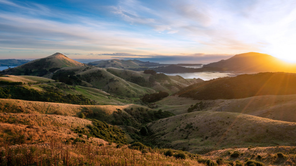 shutterstock 2030490212