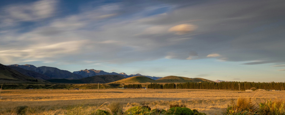 adele erolsky t4u95C26YQk unsplash