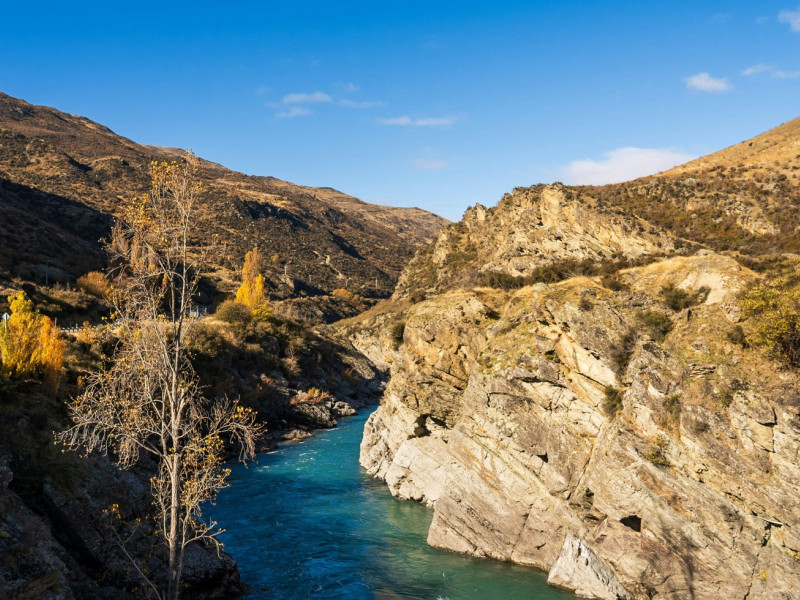 jinhui chen qP2LhxrClNo unsplash cropped