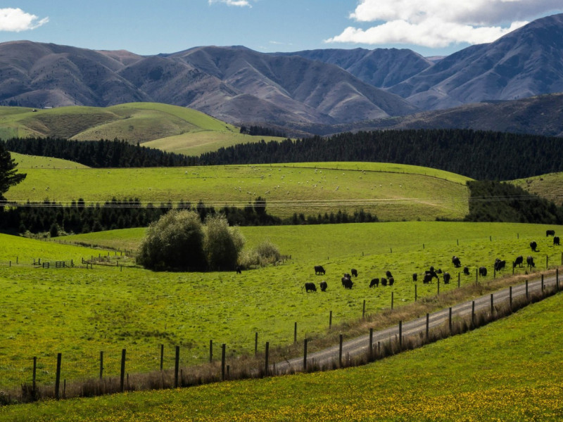 match sumaya On ayJ6MaDg unsplash cropped