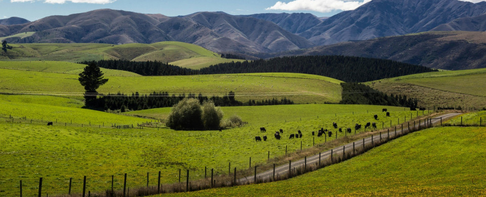 match sumaya On ayJ6MaDg unsplash cropped