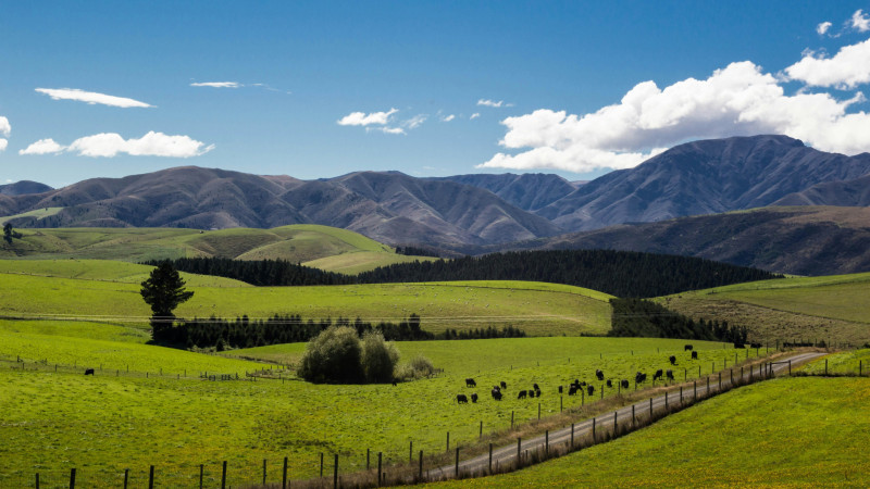 match sumaya On ayJ6MaDg unsplash