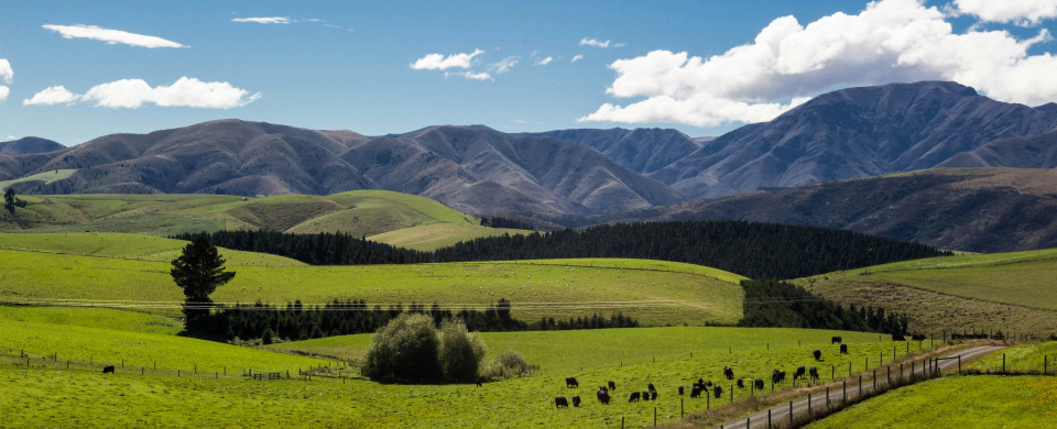 match sumaya On ayJ6MaDg unsplash