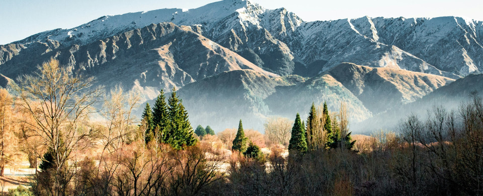 peter luo 6BZrxp bjnk unsplash