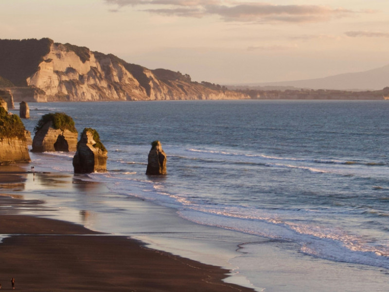 raquel moss NDN03RNTUGk unsplash cropped