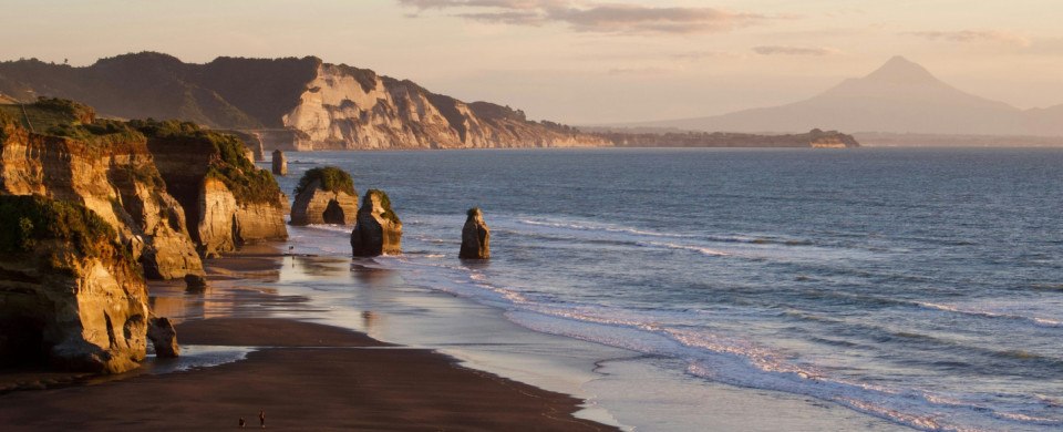 raquel moss NDN03RNTUGk unsplash cropped