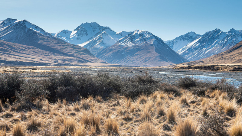 tonia kraakman iaPllGEnSsc unsplash