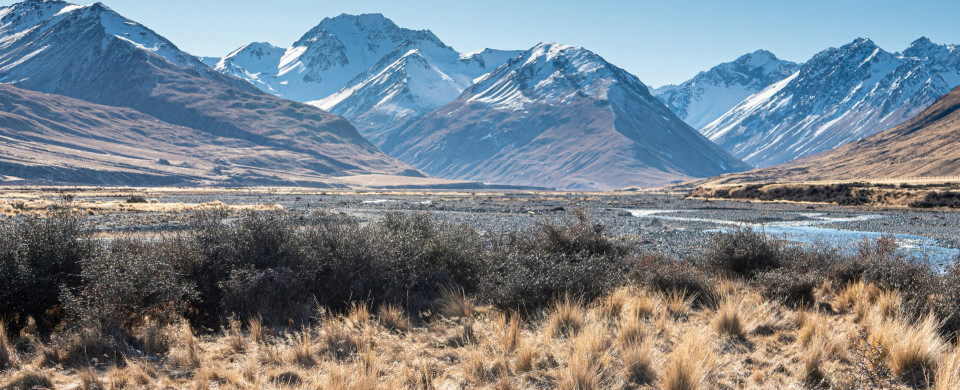 tonia kraakman iaPllGEnSsc unsplash