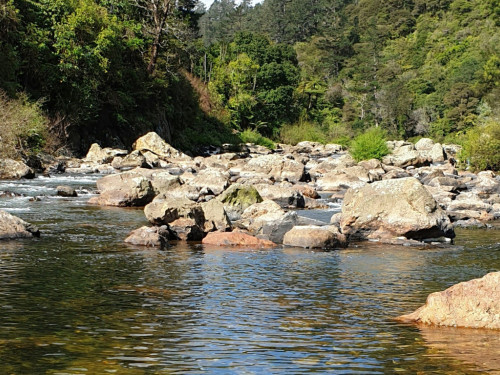 ashish ansurkar y04I1 zyscQ unsplash narrow