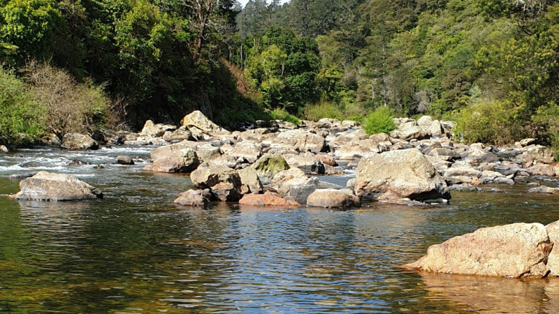 ashish ansurkar y04I1 zyscQ unsplash narrow