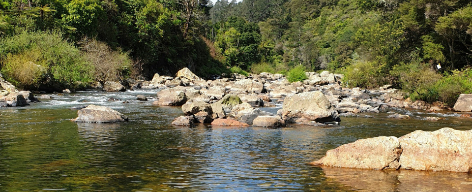 ashish ansurkar y04I1 zyscQ unsplash narrow