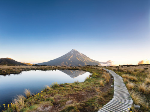 shutterstock 1352681552 v2