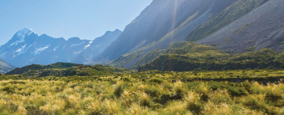 shutterstock 523560238 halved